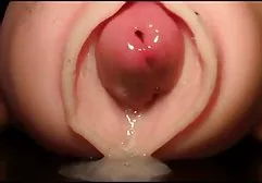醒了