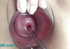 派对的颜色