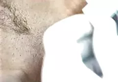 圣洁和堕落