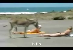 Tila Tequila屁股他妈的p2