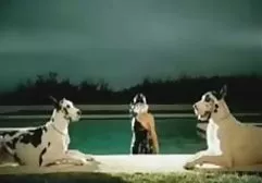 性交在一个姿势骑手