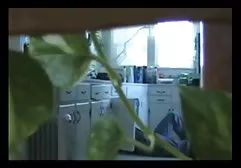 强奸小鸡