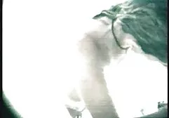 猫泵