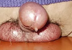 卡特巡航乱搞男孩在床上