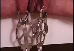 他妈的超级小鸡与美丽的山雀
