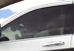 强大的学生高潮