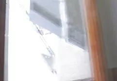金发和本田。