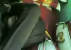 爱丽丝自我介绍