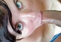 拉猫