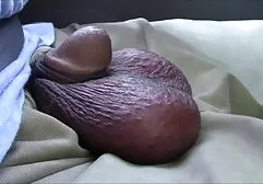 泰勒沙子