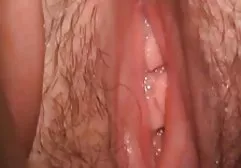 突然扔进了屁股