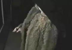 大胸部