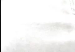 超级krasotka